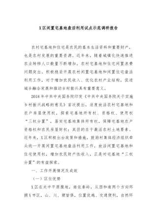 X区闲置宅基地盘活利用试点示范调研报告
