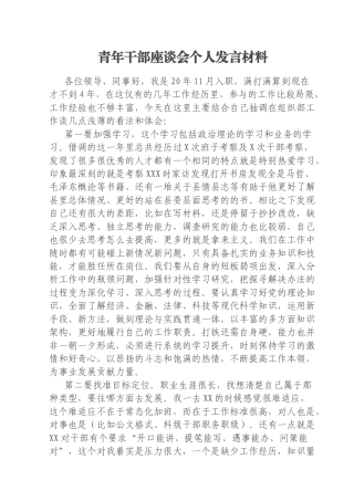 青年干部座谈会个人发言材料