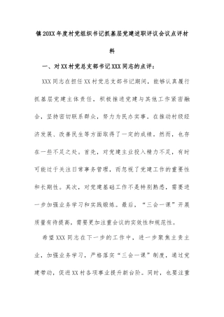 镇20XX年度村党组织书记抓基层党建述职评议会议点评材料