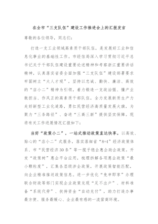 在全市“三支队伍”建设工作推进会上的汇报发言