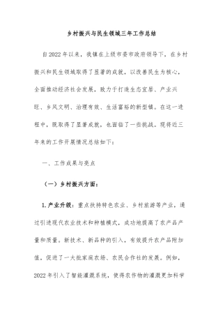 乡镇（街道）乡村振兴与民生领域三年工作总结