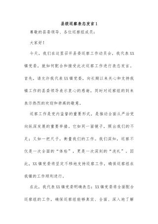 县级巡察表态发言