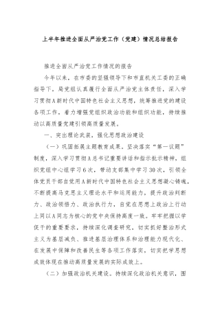 上半年推进全面从严治党工作（党建）情况总结报告