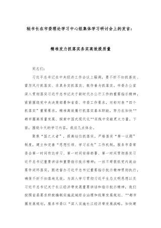 秘书长在市委理论学习中心组集体学习研讨会上的发言：精准发力抓落实务实高效提质量