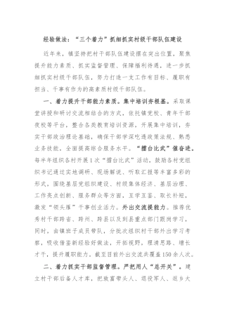 经验做法：“三个着力”抓细抓实村级干部队伍建设