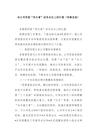 在公司巡视“回头看”动员会议上的汇报（巡察总结）