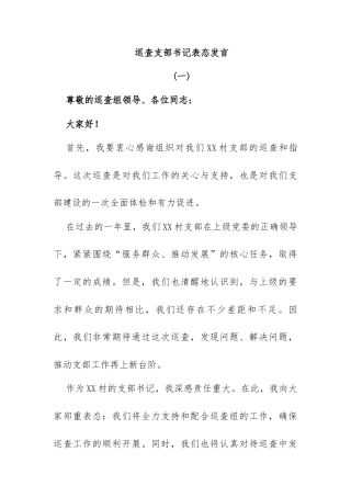 巡查支部书记表态发言