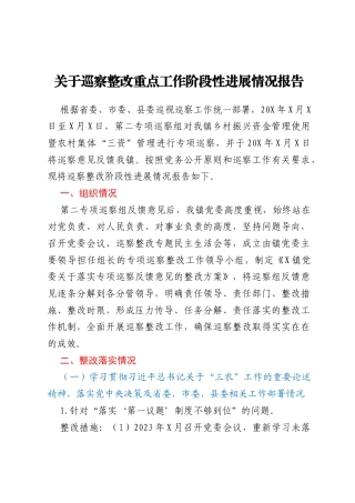 关于巡察整改重点工作阶段性进展情况报告