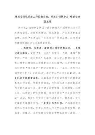 镇党委书记党建工作经验交流：党建引领聚合力 砥砺奋进促发展