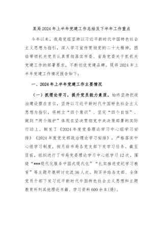 某局2024年上半年党建工作总结及下半年工作重点
