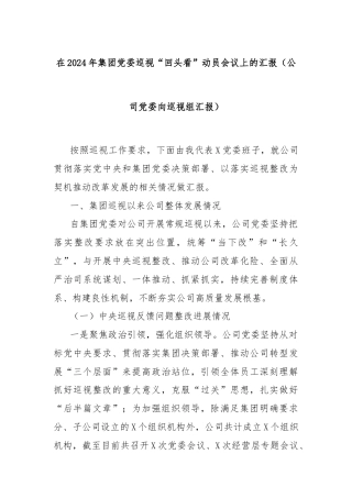 在2024年集团党委巡视“回头看”动员会议上的汇报（公司党委向巡视组汇报）