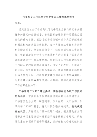 市委社会工作部关于年度重点工作打算的报告