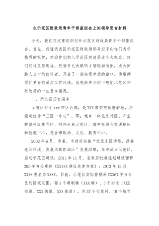 在示范区财政局青年干部座谈会上的领导发言材料