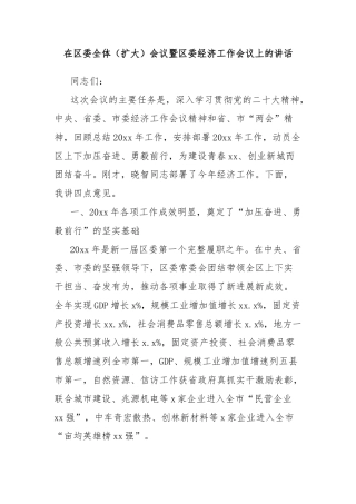 在区委全体（扩大）会议暨区委经济工作会议上的讲话