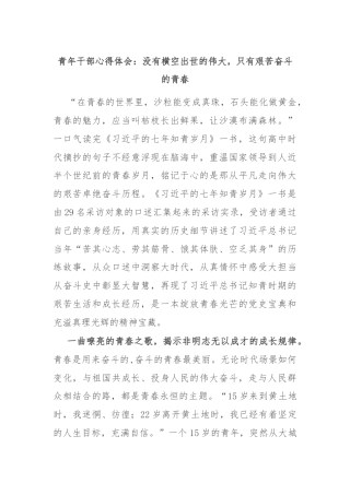 青年干部心得体会：没有横空出世的伟大，只有艰苦奋斗的青春