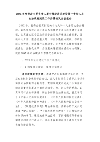 20XX年度党政主要负责人履行推进法治建设第一责任人及法治政府建设工作开展情况自查报告