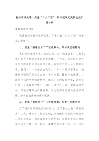 新兴领域党建：实施“三大工程” 新兴领域党建新动能汇报材料
