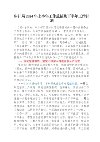 审计局2024年上半年工作总结及下半年工作计划