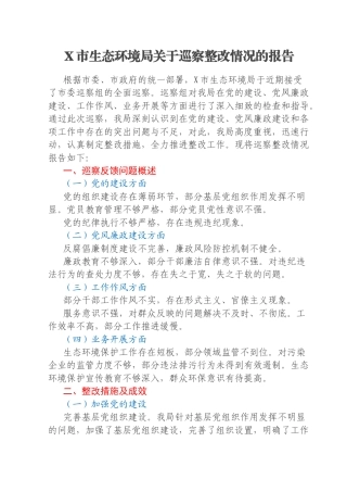 X市生态环境局关于巡察整改情况的报告
