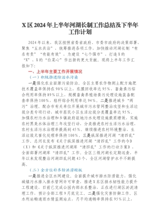 X区2024年上半年河湖长制工作总结及下半年工作计划