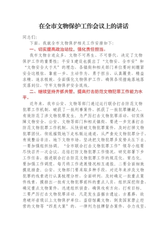 在全市文物保护工作会议上的讲话