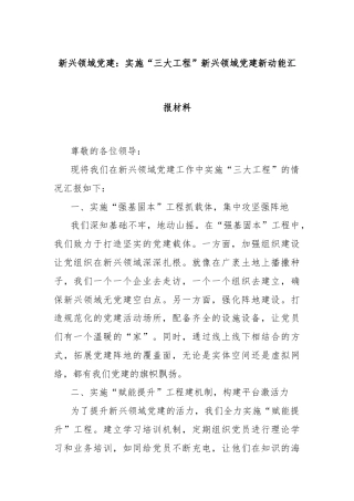 新兴领域党建：实施“三大工程”新兴领域党建新动能汇报材料