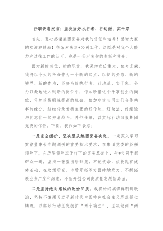 任职表态发言：坚决当好执行者、行动派、实干家