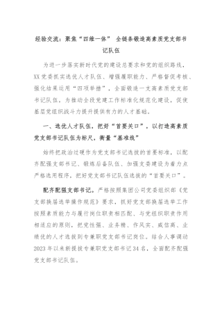 经验交流：聚焦“四维一体” 全链条锻造高素质党支部书记队伍