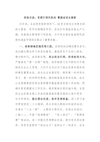 经验交流：党建引领风帆劲 擎旗奋进业绩新