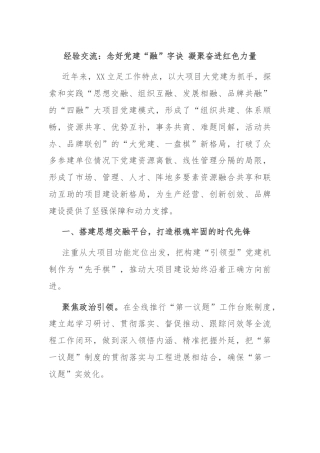 经验交流：念好党建“融”字诀 凝聚奋进红色力量