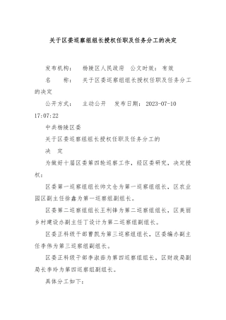 关于区委巡察组组长授权任职及任务分工的决定