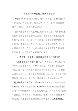 市医疗保障局驻村工作队工作总结