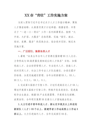 XX市“青壮”工作实施方案