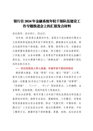 银行在2024年金融系统年轻干部队伍建设工作专题推进会上的汇报发言材料
