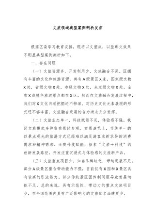 文旅领域典型案例剖析发言