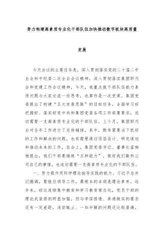 努力构建高素质专业化干部队伍加快推动数字板块高质量发展