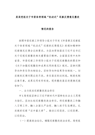 某局党组关于市委体育领域“机动式”巡察反馈意见整改情况的报告