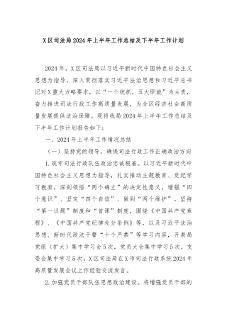 X区司法局2024年上半年工作总结及下半年工作计划