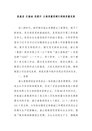 抓基层 打基础 促提升 以高质量党建引领高质量发展