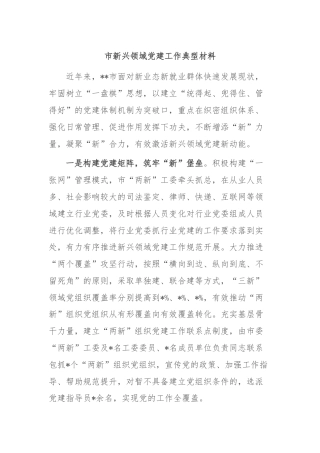 市新兴领域党建工作典型材料