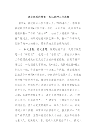 政府办派驻村第一书记驻村工作感悟