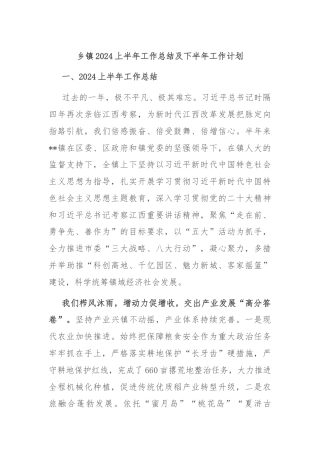 乡镇2024上半年工作总结及下半年工作计划