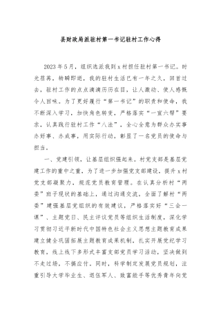 县财政局派驻村第一书记驻村工作心得