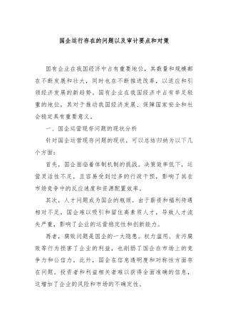 国企运行存在的问题以及审计要点和对策