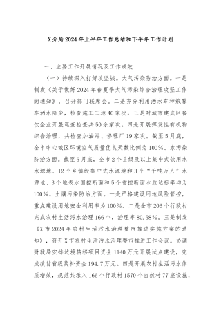 X分局2024年上半年工作总结和下半年工作计划