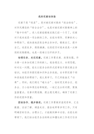 我的巡察初体验