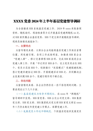 XXXX党委2024年上半年基层党建督导调研