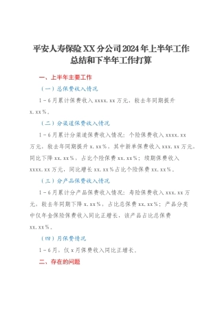 平安人寿保险XX分公司2024年上半年工作总结和下半年工作打算