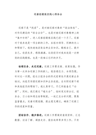 巡察组锻炼实践心得体会