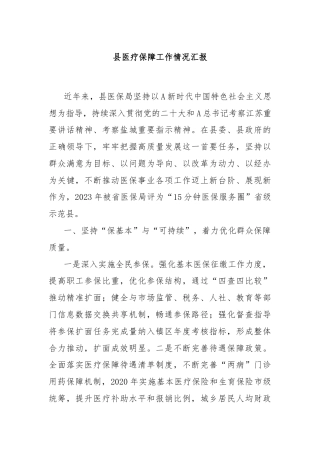 县医疗保障工作情况汇报